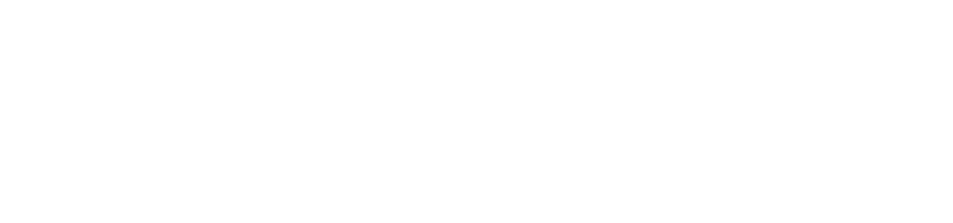 Logo RZT